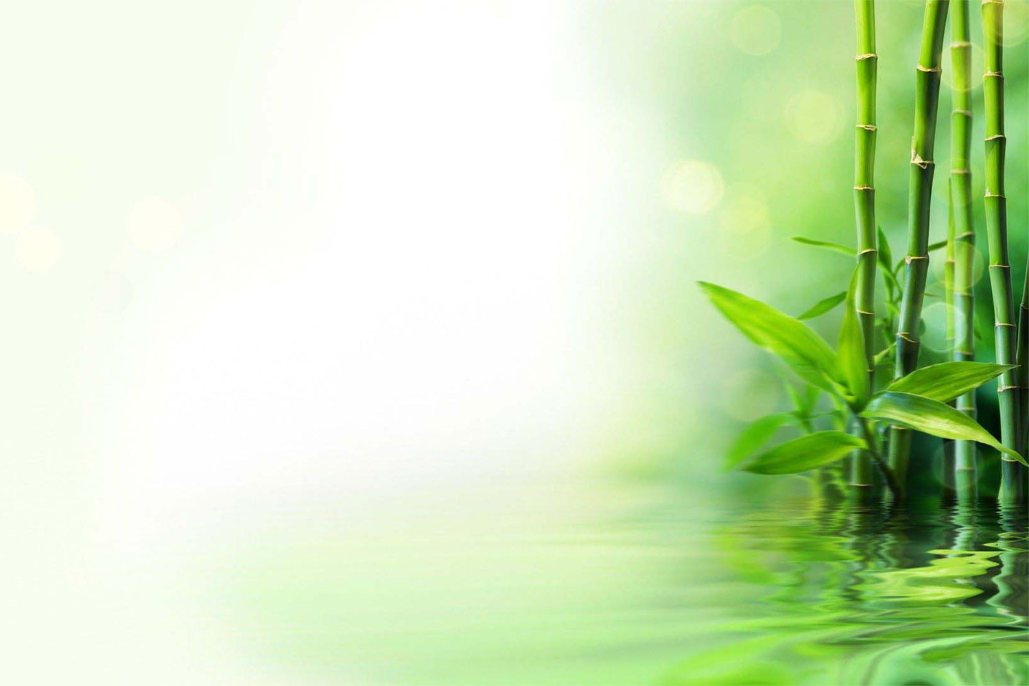 hinh-nen-powerpoint-xanh-la-7