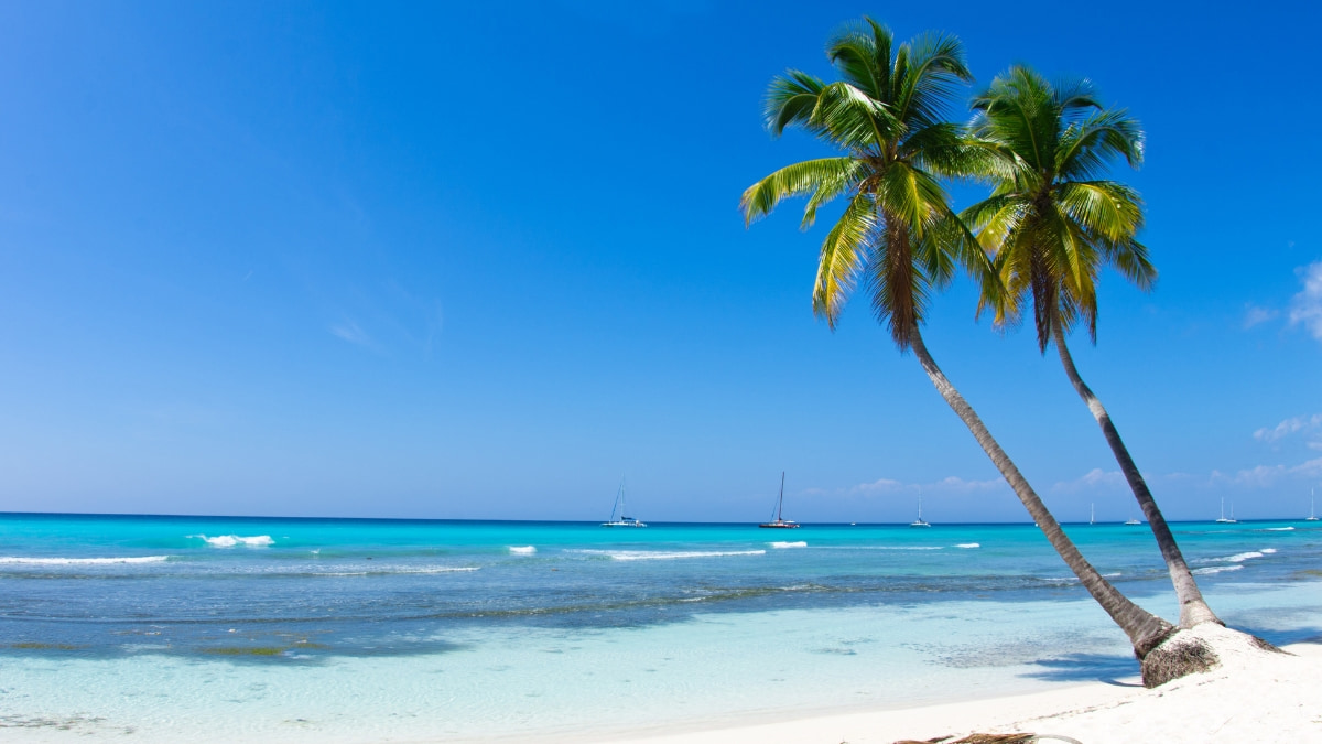 Hình nền PowerPoint về bãi biển xanh mát