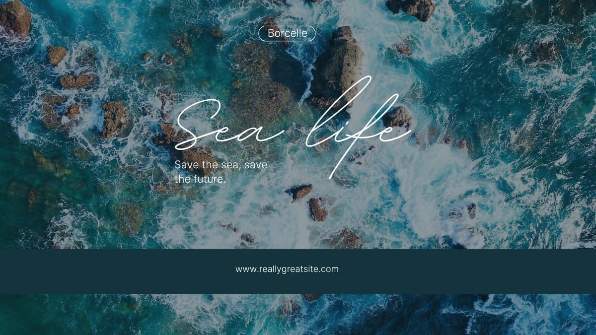 Mẫu slide PowerPoint biển chuyên nghiệp