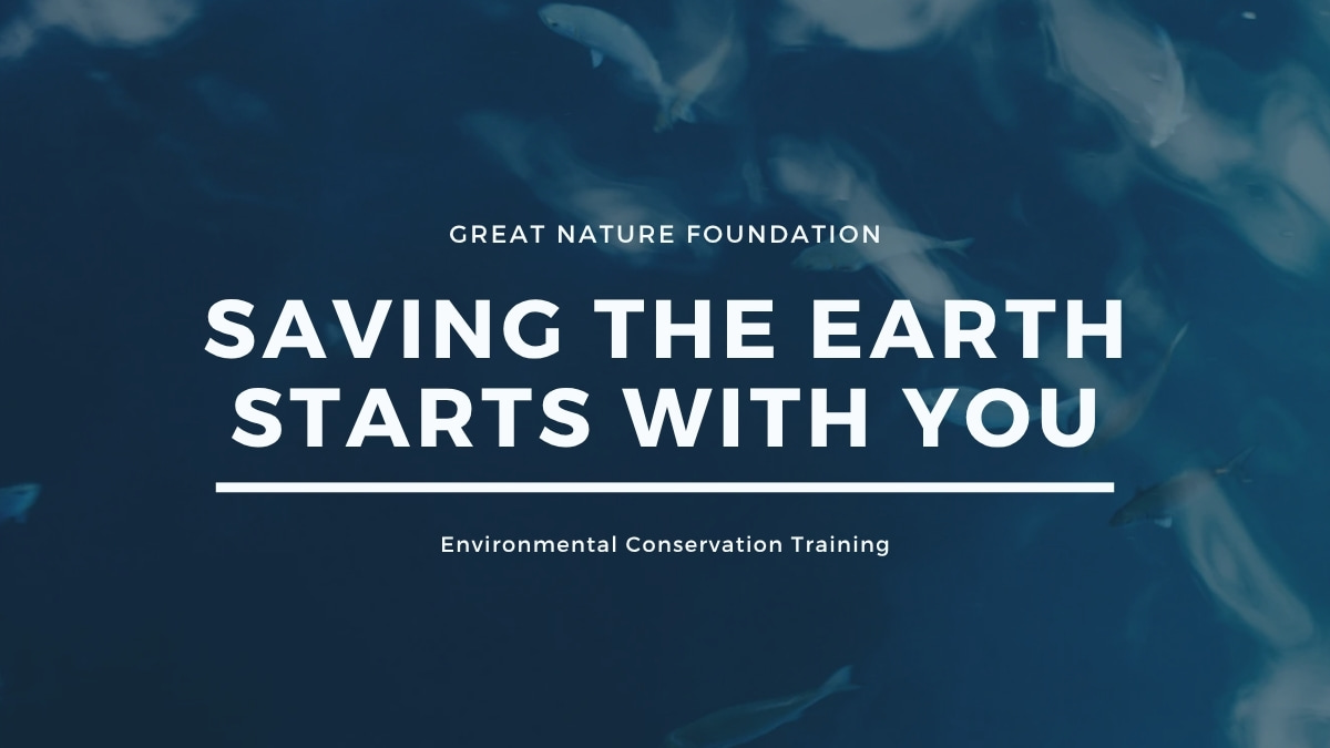 Hình nền PowerPoint biển tone màu lạnh chuyên nghiệp