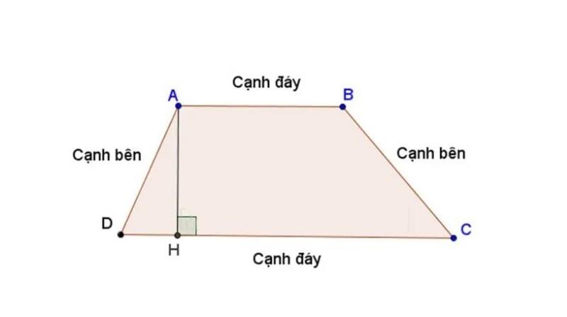 Tính diện tích hình thang, hình thang vuông và cân chi tiết