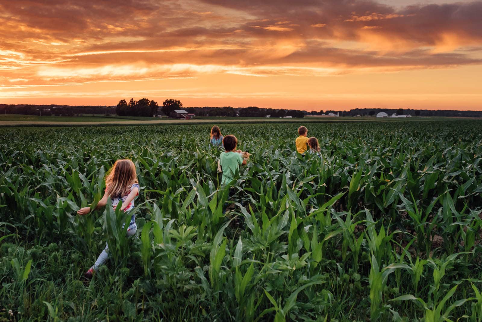 picture o fkids running through a field at sunset by Susan Grimes