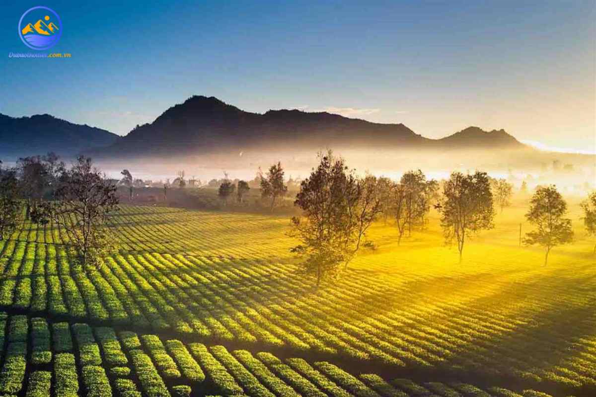 Đặc điểm khí hậu Tây Nguyên