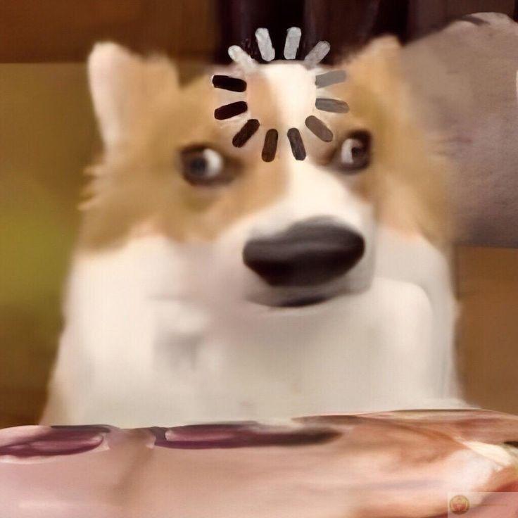 Một chiếc meme không có gì xuất hiện đơn giản nhưng vẫn gây ấn tượng mạnh