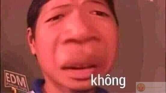 Một chiếc meme không biết nói gì tạo nên cảm giác vừa hài vừa ngộ nghĩnh