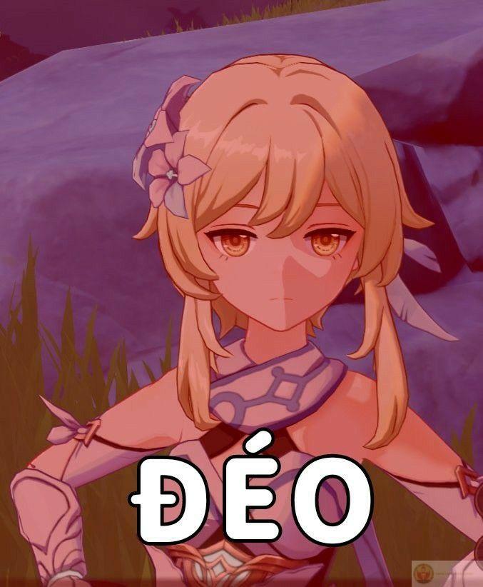 Meme phản ứng hết nói nổi, chỉ nhìn thôi cũng khiến ai đó cười ngất