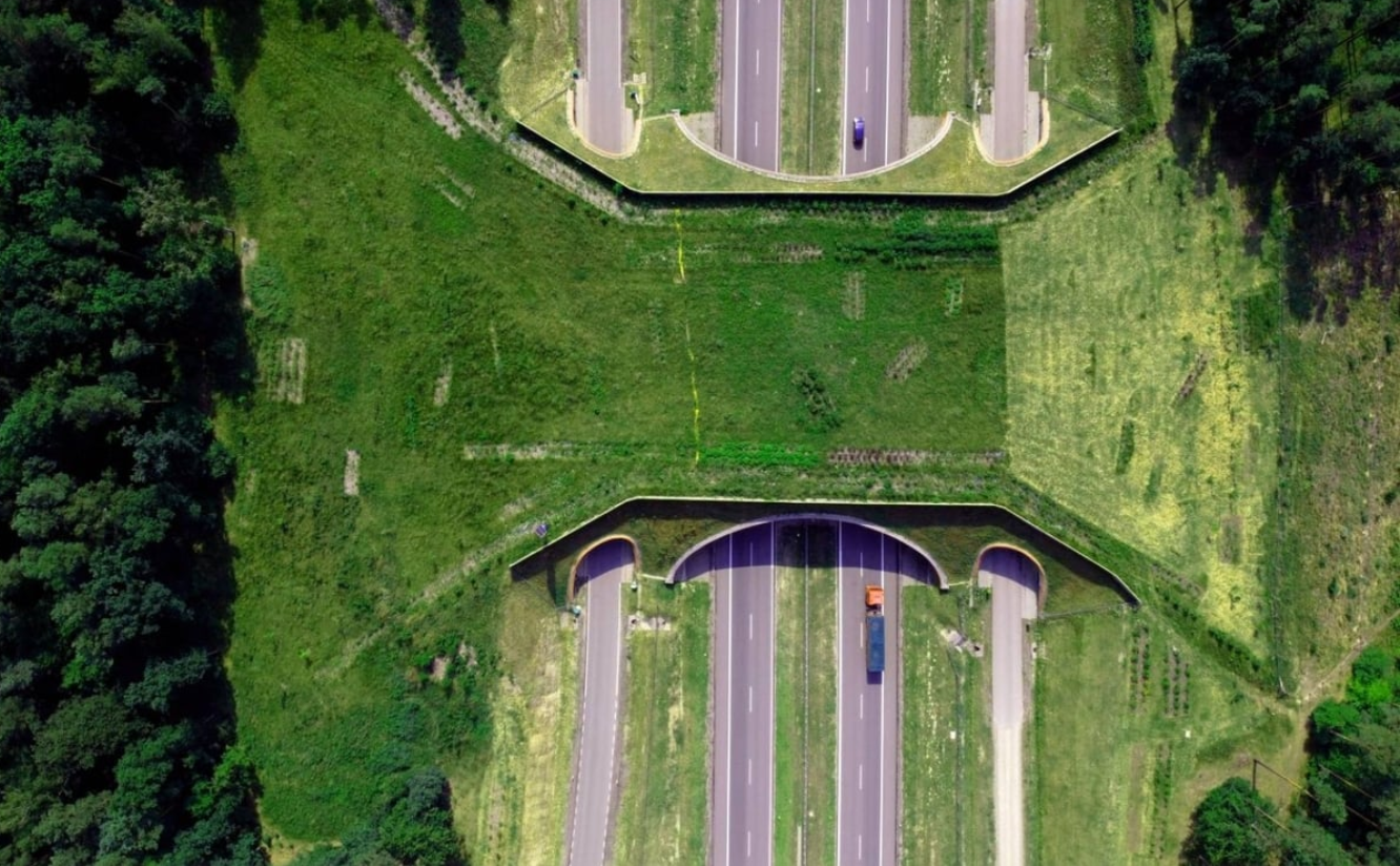 Screenshot 2025-05-28 at 15.32.47_f826f00b6b.png