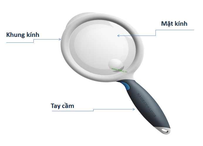 Kính lúp là gì? Đặc điểm và các loại kính lúp phổ biến hiện nay