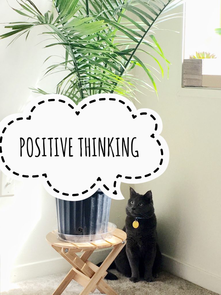 Positive thinking with Friday