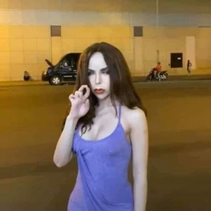 Linda Cẩm Lan Sục meme