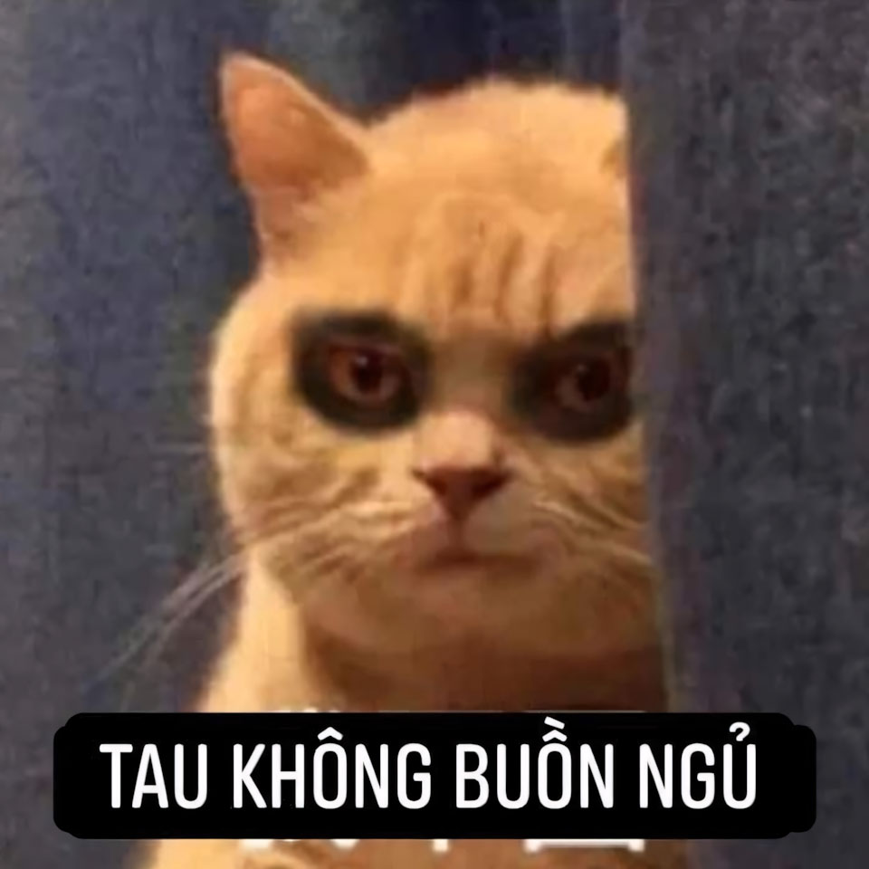 anh meme buon ngu 960px 960px avatar 2 2