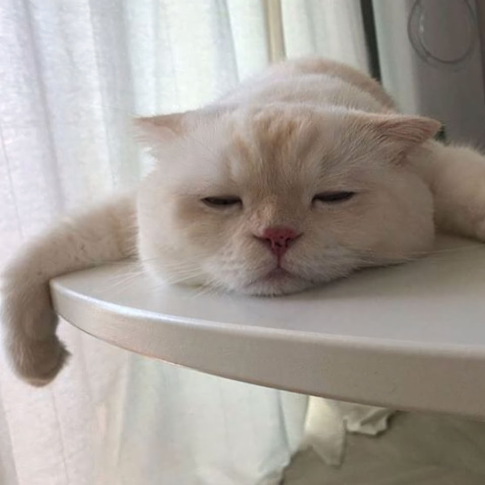 anh meme buon ngu 960px 960px avatar 4 2