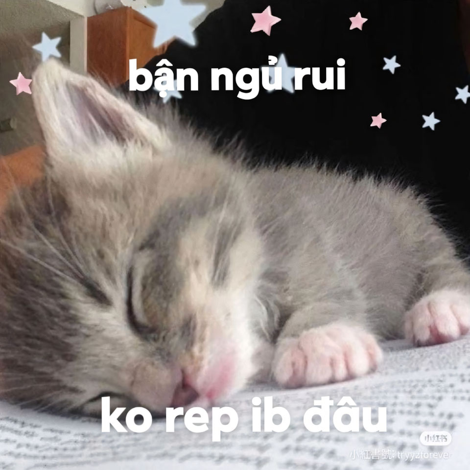 anh meme buon ngu 960px 960px avatar 7 2