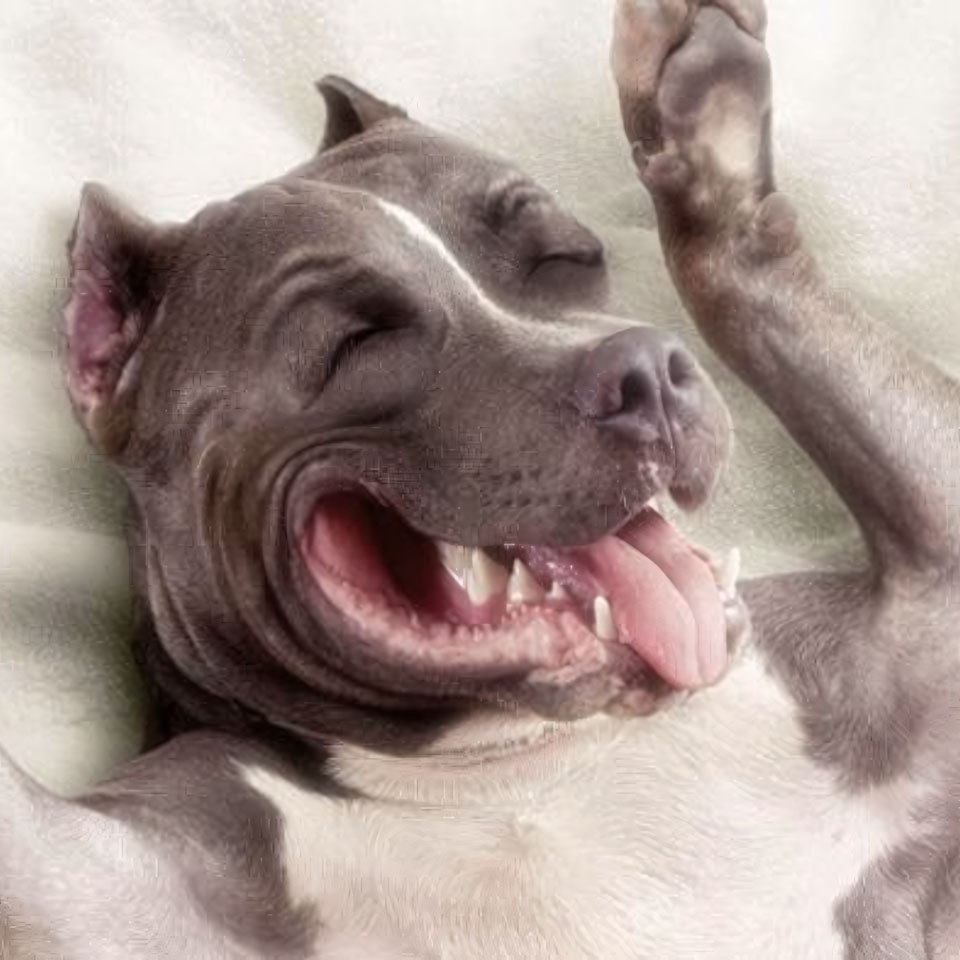 anh buon ngu hai huoc 960px 960px avatar 2 1