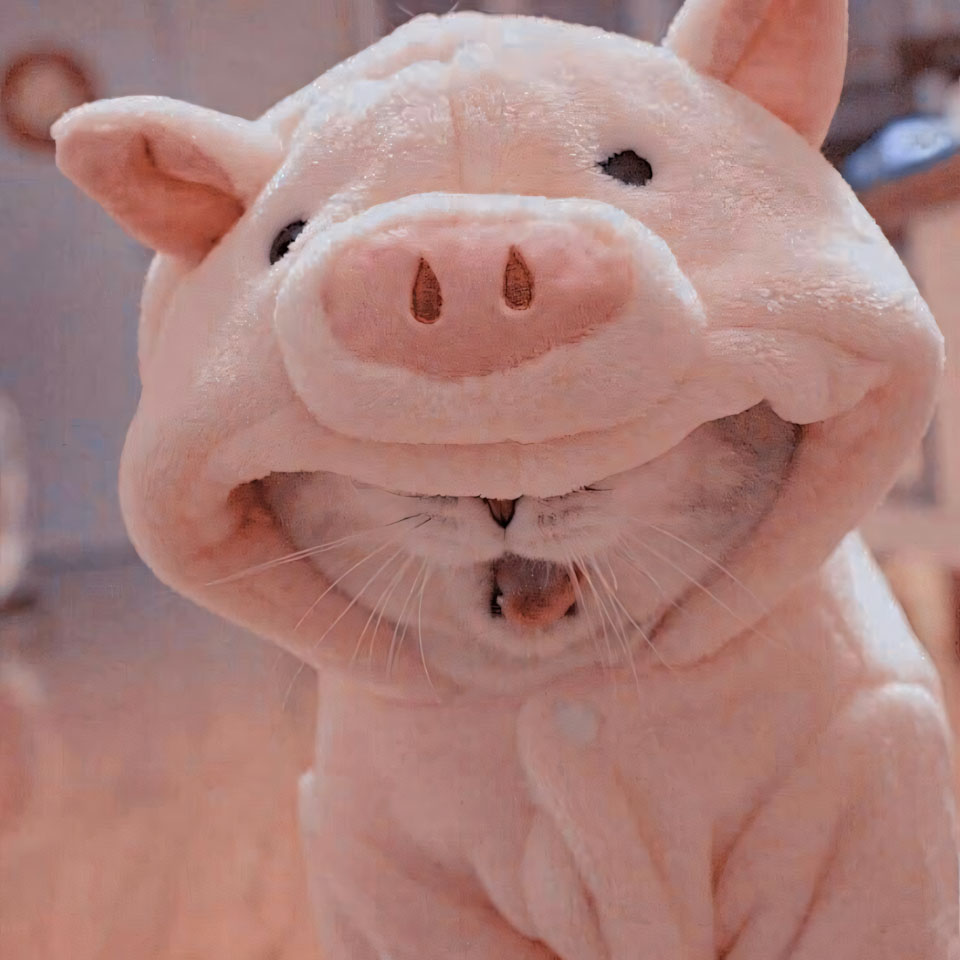 anh ngap ngu buon ngu 960px 960px avatar 11 1