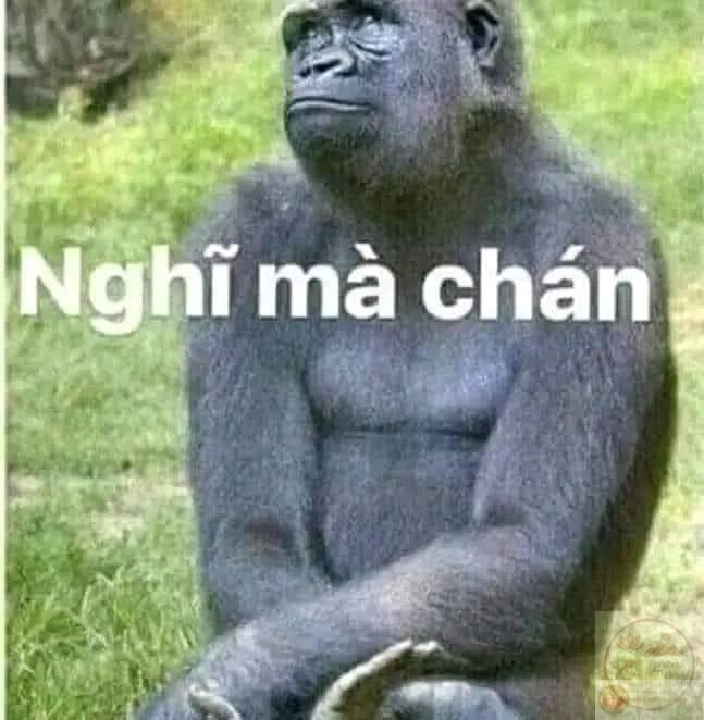 Nghĩ nó chán meme