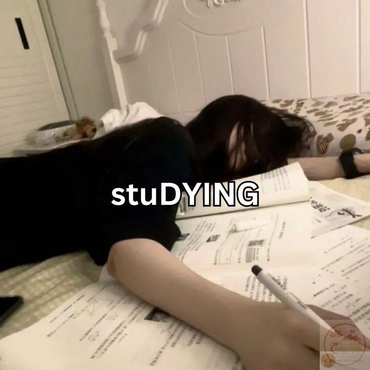 Nhiều người coi meme chán là lựa chọn nhanh gọn để thay lời bày tỏ cảm xúc