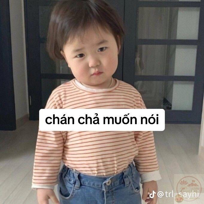 Meme chán chả muốn nói