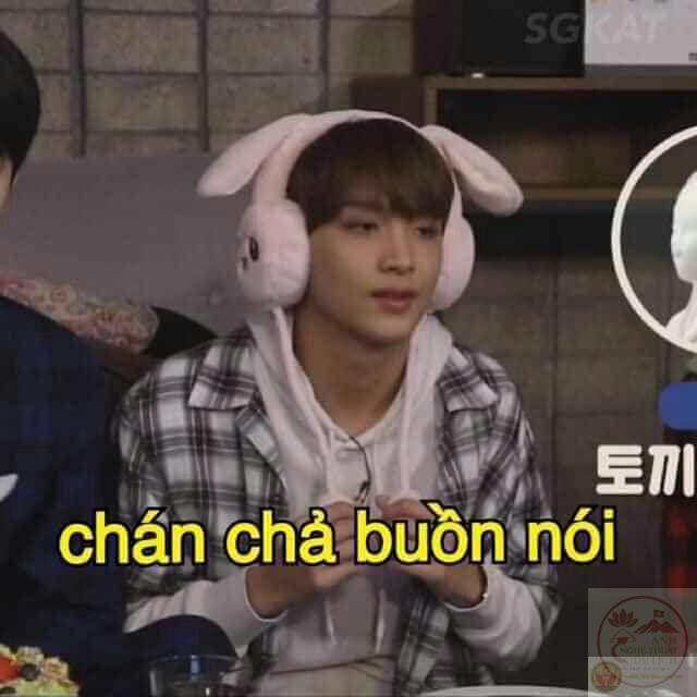 Sự mệt mỏi thường ngày đôi khi lại được diễn đạt duyên dáng qua ảnh chế dí dỏm