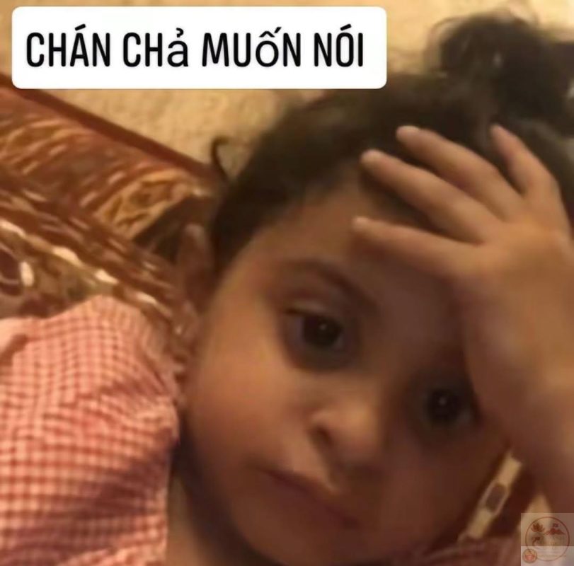 Meme chán: 195+ ảnh “chán chả buồn nói”, chán đời cực thấm