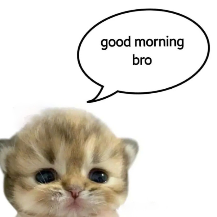 meme chào buổi sáng tràn năng lượng