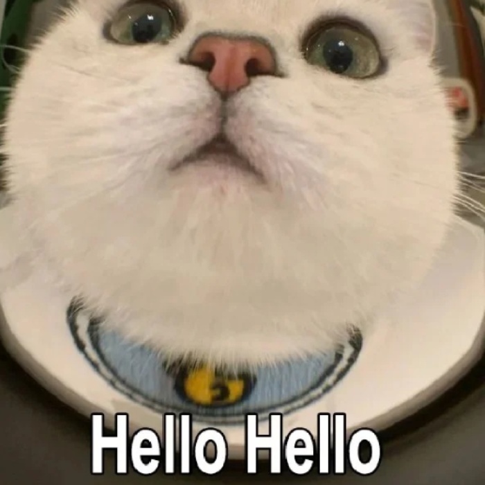 Lan tỏa yêu thương bằng meme chào buổi sáng