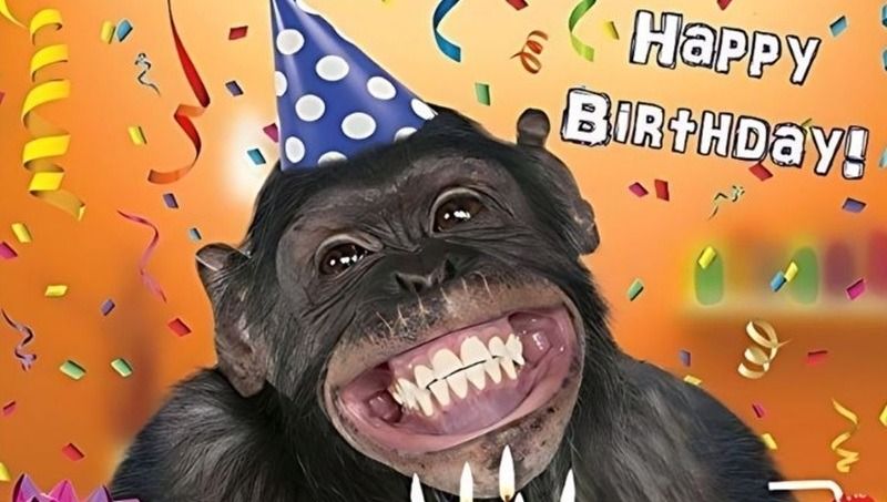 Ý nghĩa của meme chúc mừng sinh nhật