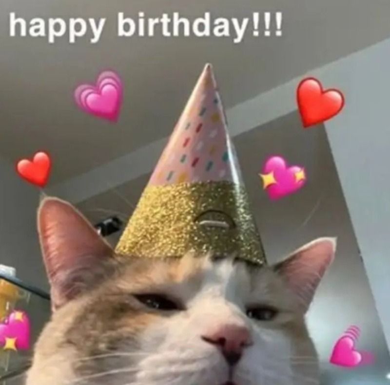 Meme chúc mừng sinh nhật dễ thương