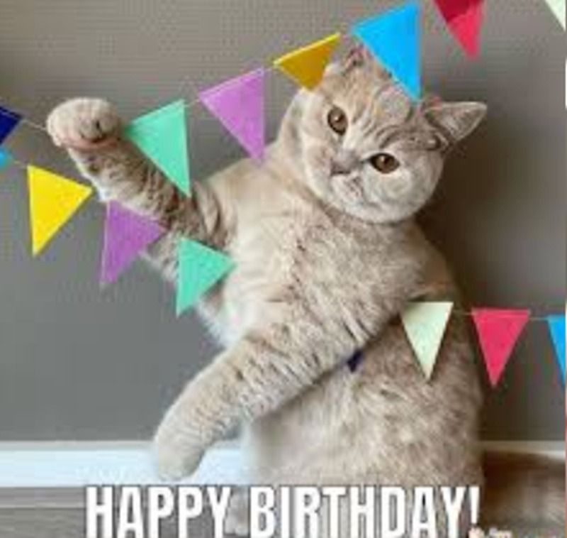 Meme chúc mừng sinh nhật dễ thương
