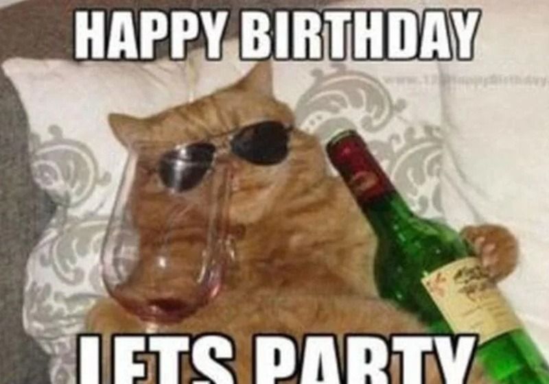 Meme chúc mừng sinh nhật độc đáo/sáng tạo