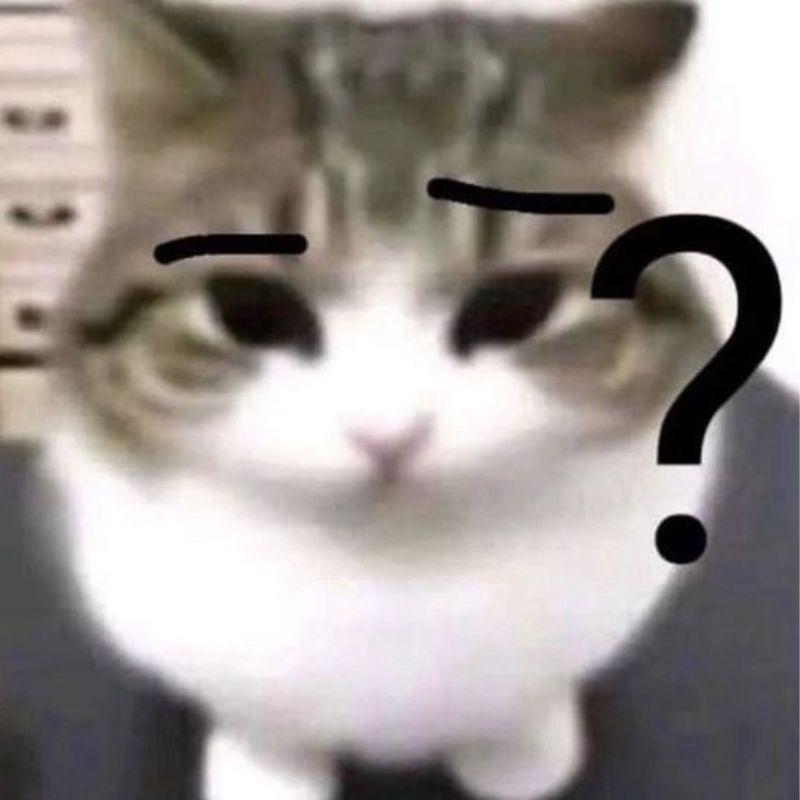 mèo chấm hỏi meme