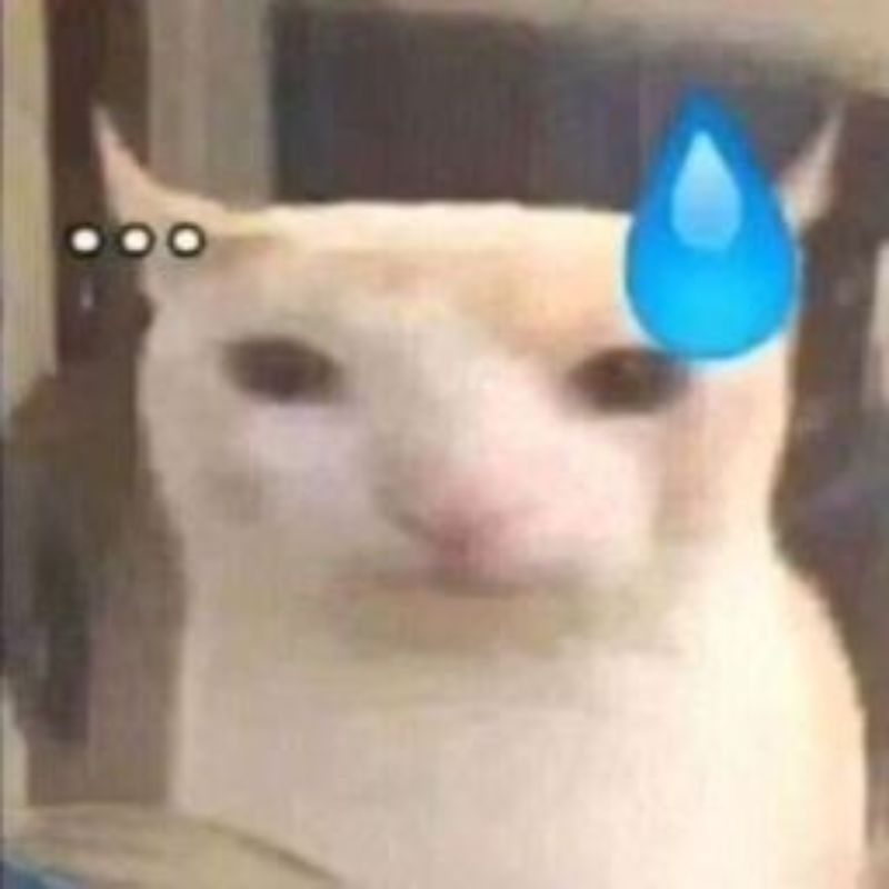 meme mèo toát mồ hôi