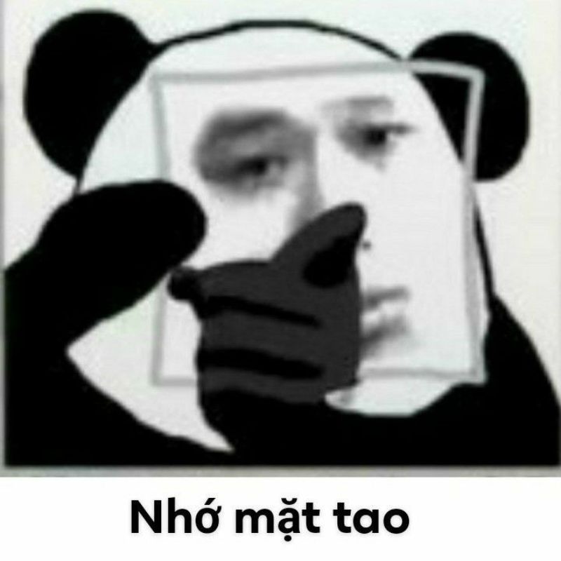 meme nhớ mặt tao gấu trúc