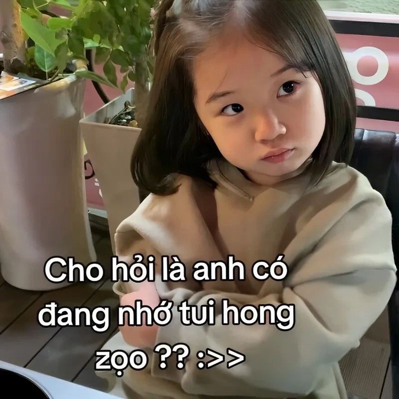 meme nhớ em không