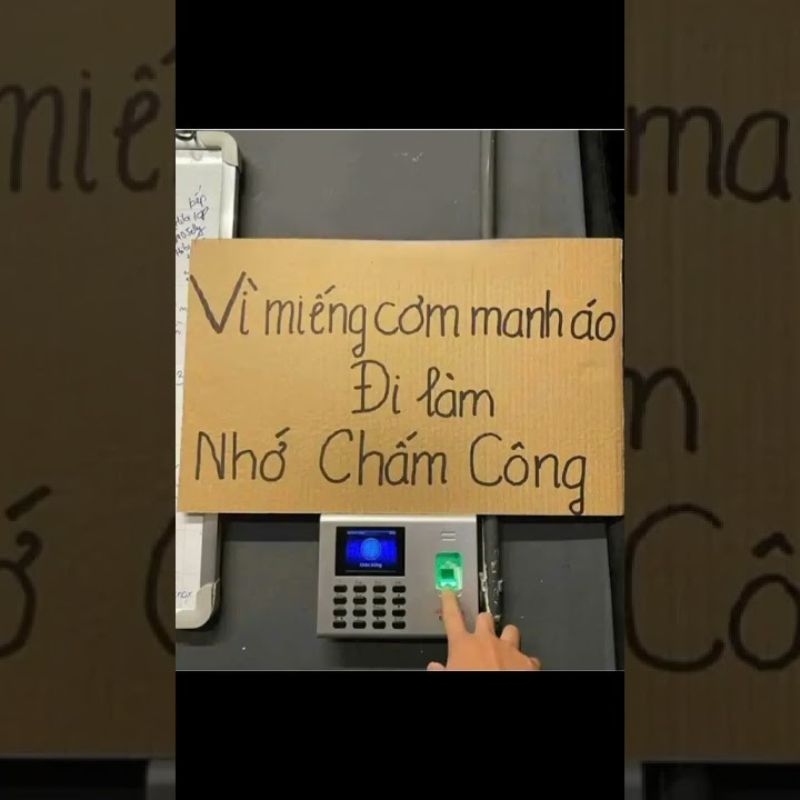 Meme đi làm nhớ chấm công