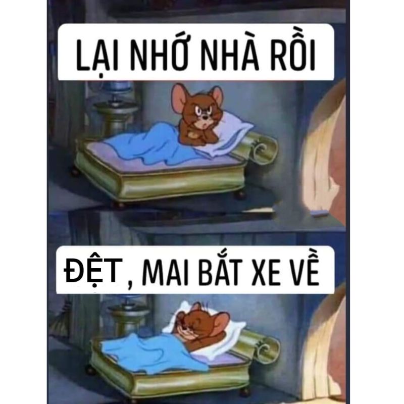 meme nhớ nhà