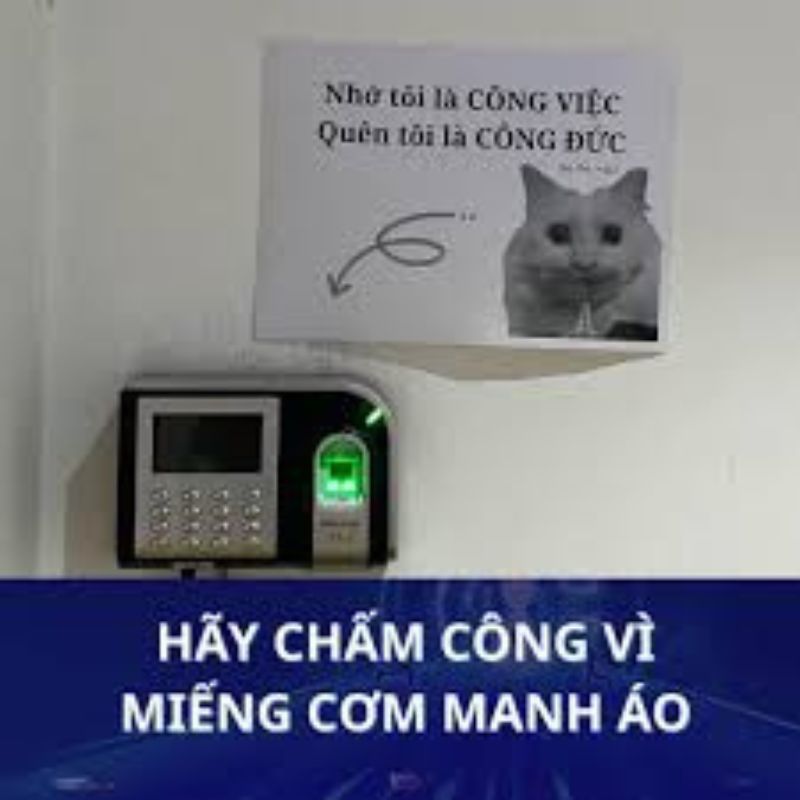 meme nhắc nhở chấm công