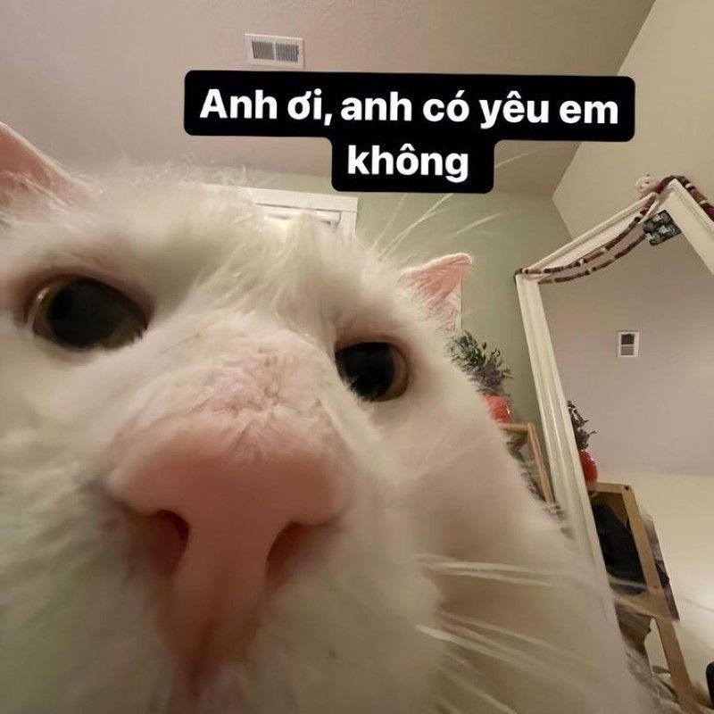 Meme nhớ người yêu