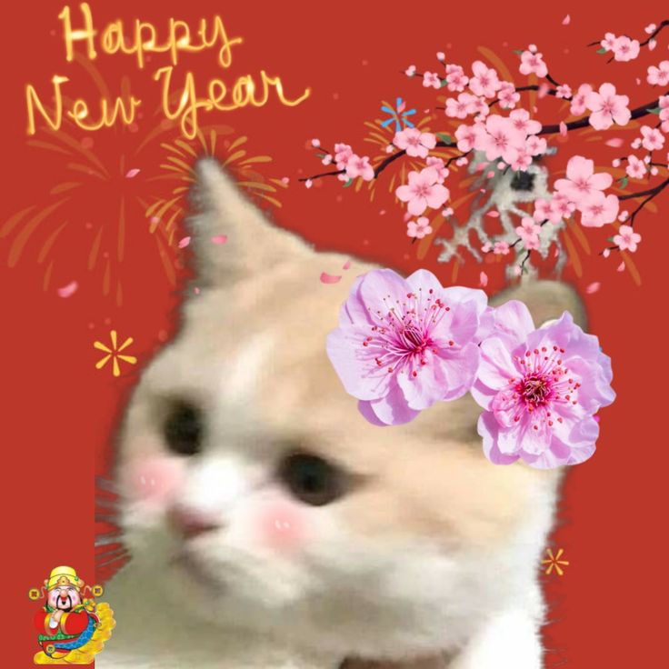 Meme Tết lan tỏa niềm hạnh phúc và tiếng cười đến mọi nhà