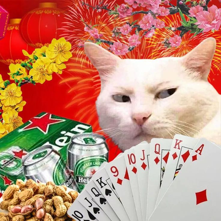 Meme Tết dí dỏm giúp ngày lễ hội thêm trọn vẹn tiếng cười