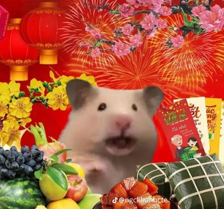 Meme Tết đặc sắc góp phần làm cho ngày lễ hội thêm rộn ràng