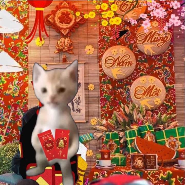 Mỗi ảnh meme Tết đều chứa đựng sự sáng tạo và niềm vui bất tận