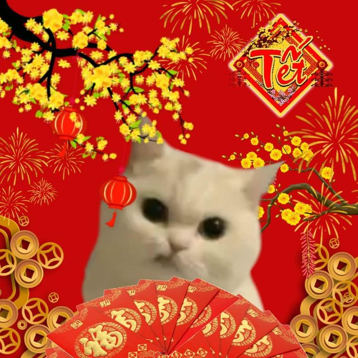 Sự sáng tạo trong ảnh meme Tết làm mùa xuân thêm đáng nhớ