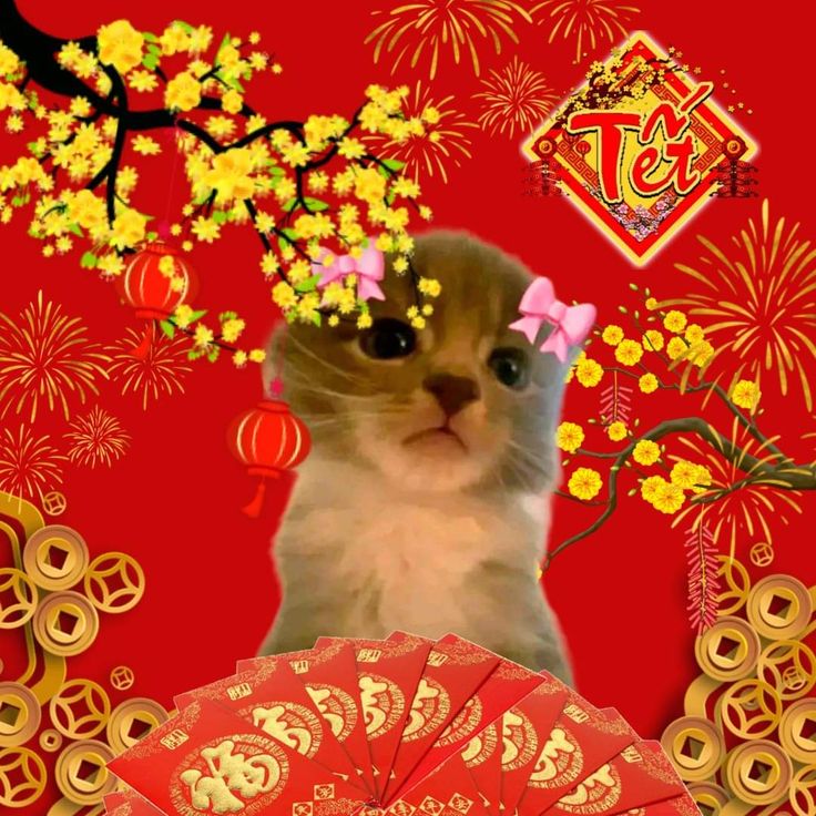 Tiếng cười giòn giã từ ảnh meme Tết khiến ngày xuân thêm đáng nhớ