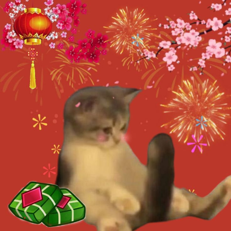 Meme Tết độc đáo mang lại nhiều tiếng cười ý nghĩa ngày xuân