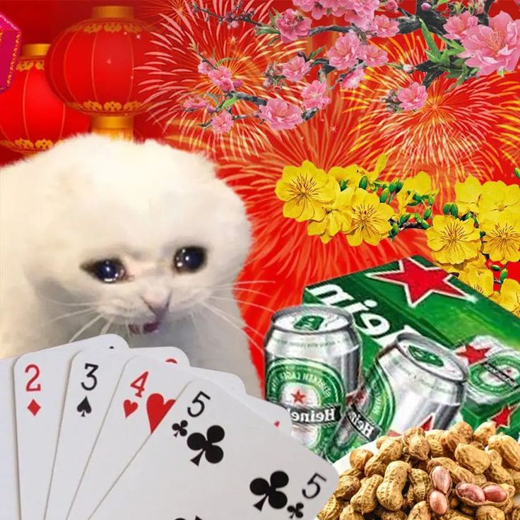 Sự sáng tạo trong meme Tết khiến ngày đầu năm thêm phần đáng nhớ