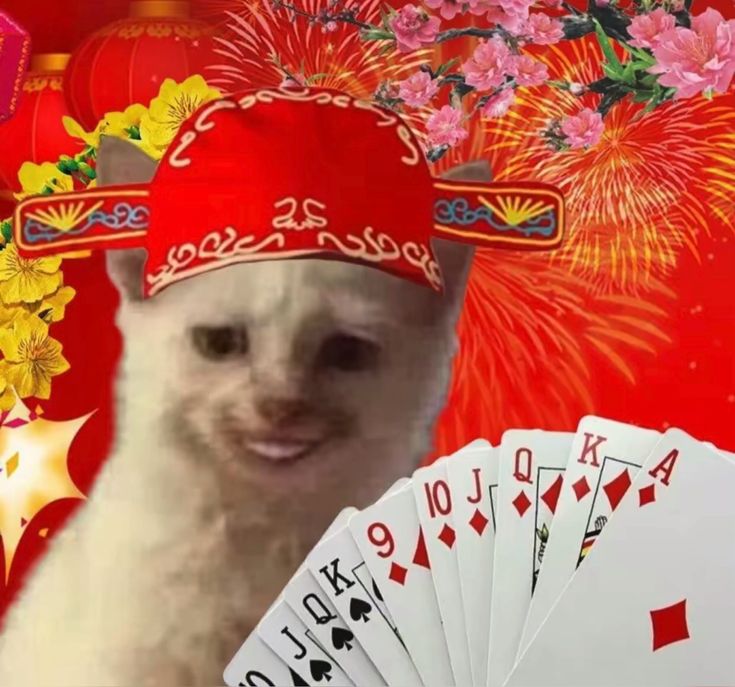 Ảnh meme Tết dí dỏm khiến ngày đầu năm thêm rộn rã tiếng cười