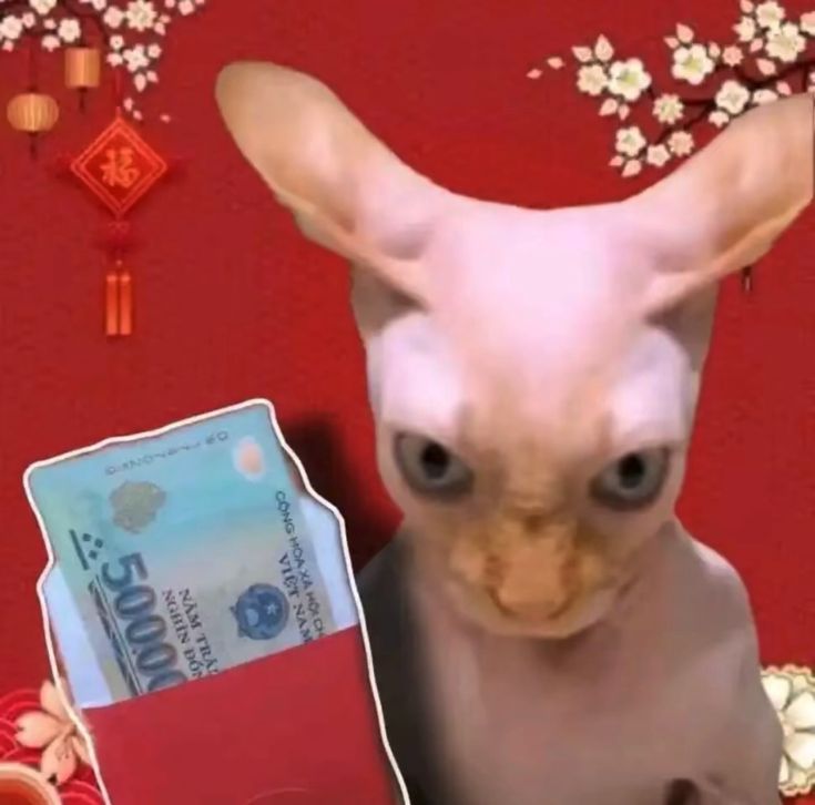 Ảnh meme Tết ngộ nghĩnh khiến tiếng cười rộn ràng khắp mọi nơi