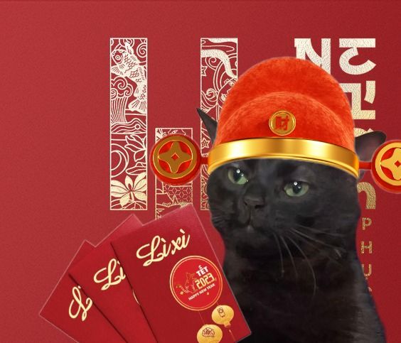 Meme Tết sáng tạo khiến ai cũng thích thú và chia sẻ khắp nơi