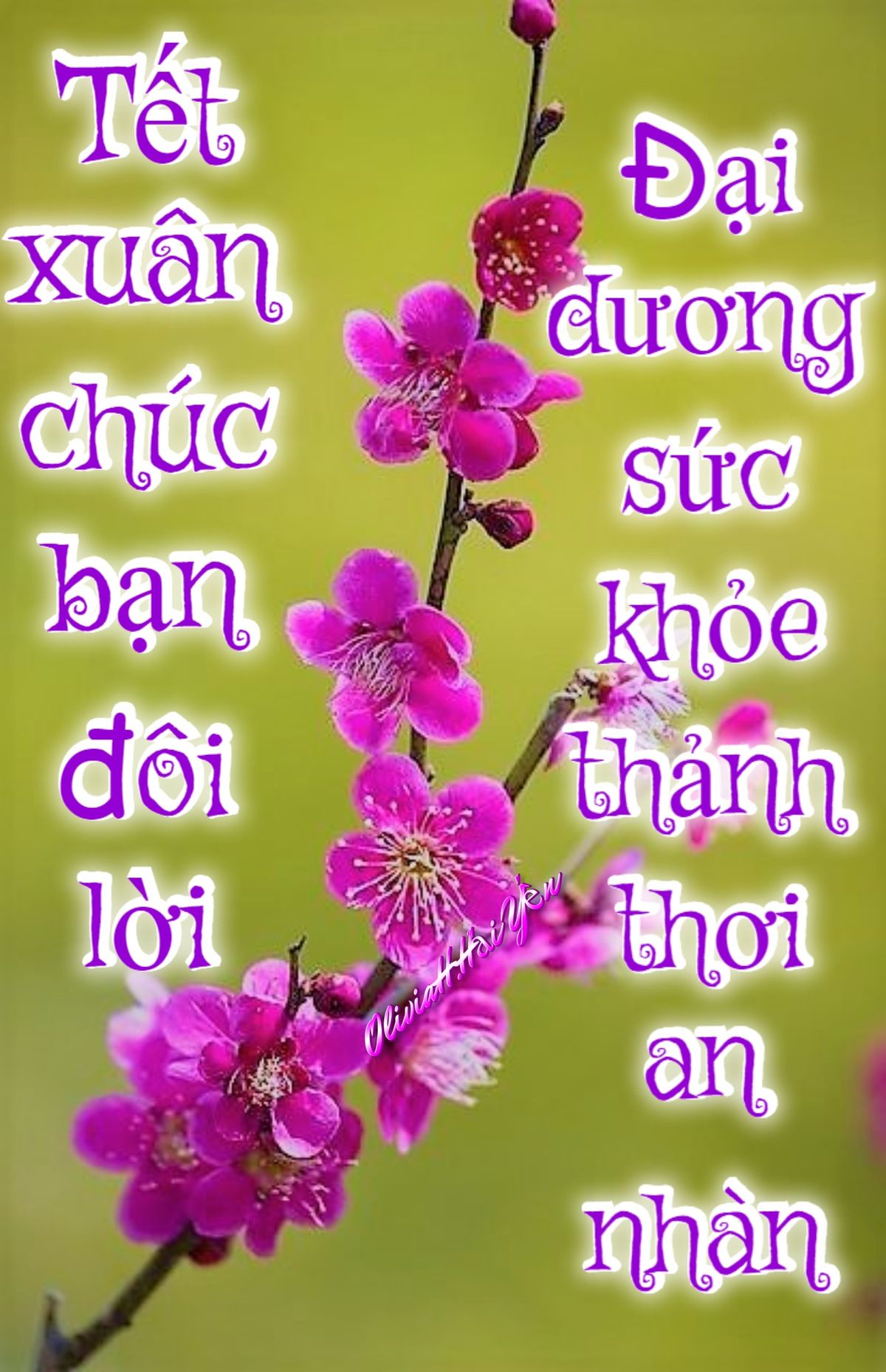 Niềm vui ngày xuân được nhân đôi khi chia sẻ meme Tết dí dỏm